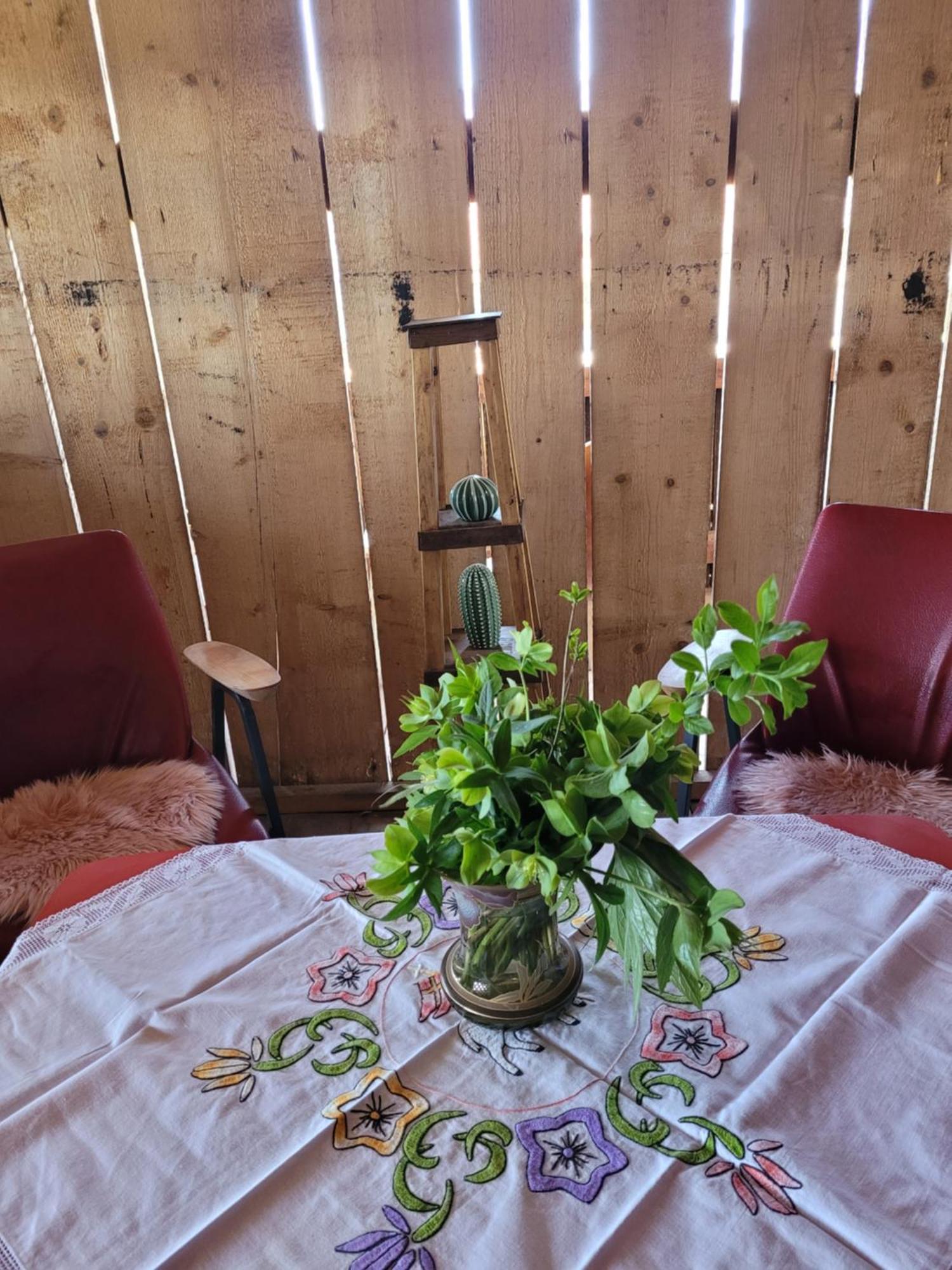 Nomads Glamp Hostel Bled Bagian luar foto